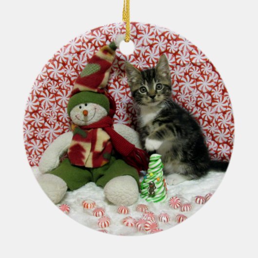 Bandit Kitten Cat Rescue Christmas Keramik Ornament (Hinten)