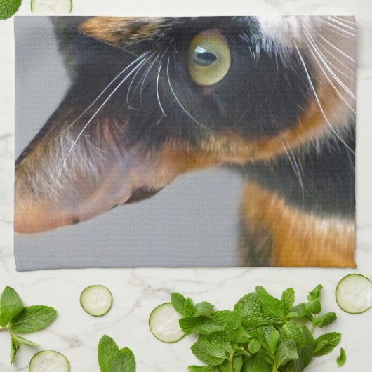 Bandit Küchentuch (Gefaltet)