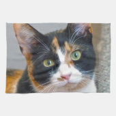 Bandit Küchentuch (Horizontal)