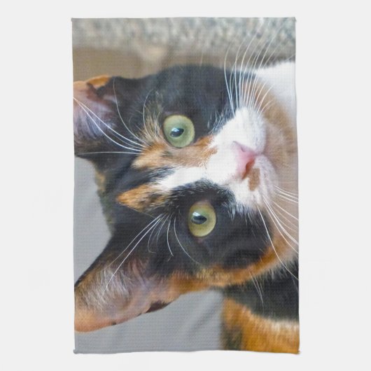 Bandit Küchentuch (Vertikal)