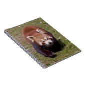 Bandit-Notebook Notizblock (Rechte Seite)