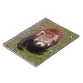 Bandit-Notebook Notizblock (Linke Seite)