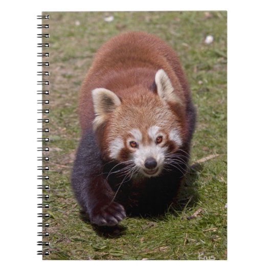 Bandit-Notebook Notizblock (Vorderseite)