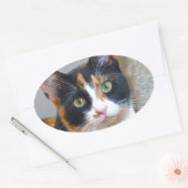 Bandit Ovaler Aufkleber (Umschlag)