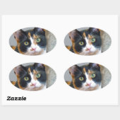 Bandit Ovaler Aufkleber (Blatt)