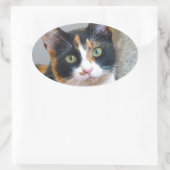 Bandit Ovaler Aufkleber (Tasche)