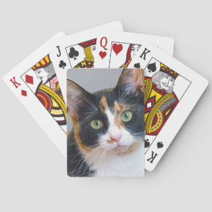 Bandit Spielkarten