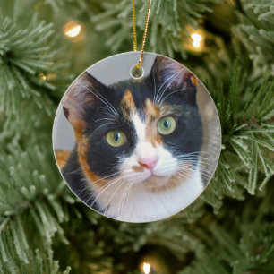 Bandit the Calico Cat Keramik Ornament