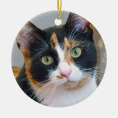Bandit the Calico Cat Keramik Ornament (Vorne)