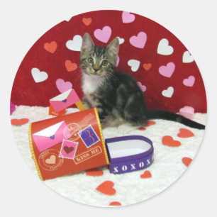 Bandit the Tabby Cat's Valentine's Stickers
