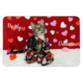 Bandit's Best Dressed Valentine's Cat / Kitten Magnet (Horizontal)