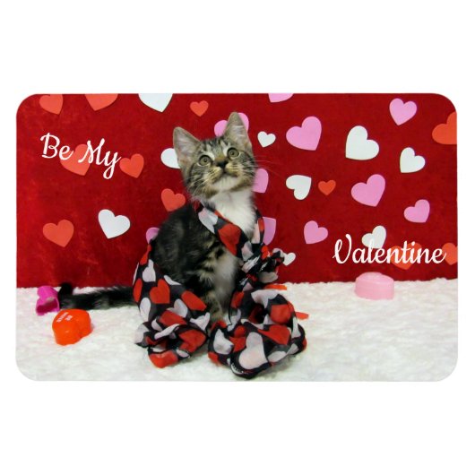 Bandit's Best Dressed Valentine's Cat / Kitten Magnet (Horizontal)