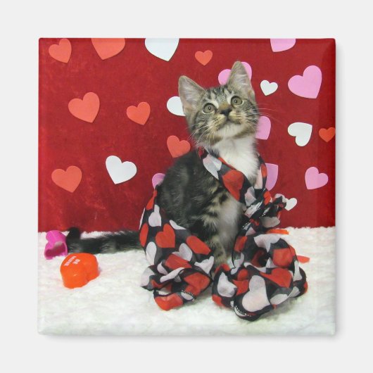 Bandit's Liebe - Katze / Kitten Magnet für Valenti (Vorne)