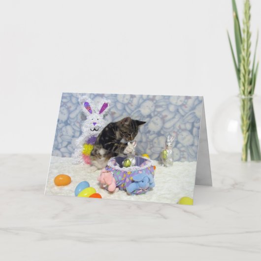 Bandit's Osterfeier (3420) Grußkarte Feiertagskarte (Vorderseite)