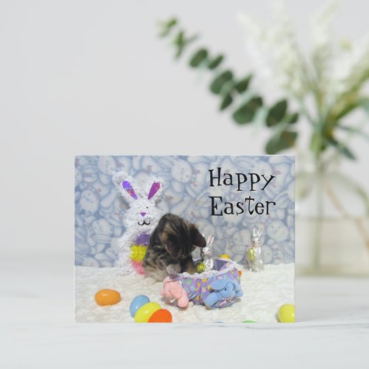 Bandit's Osterkorb - Postkarte (Stehend Vorderseite)