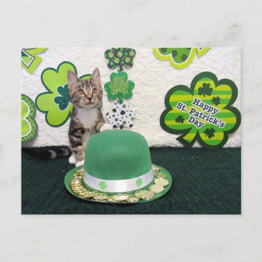 Bandit's St. Patrick's Day Cat / Kitten Postcard Postkarte (Vorderseite)