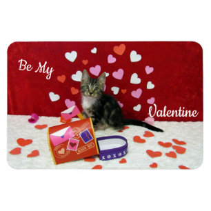 Bandit's Valentine's Magnet (Kat/ Kätzchen)