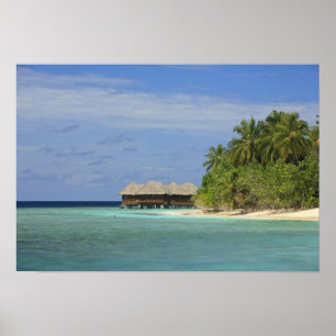 Bandos Island Resort, Nord-Male-Atoll, Das Poster