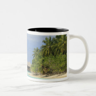 Bandos Island Resort, Nord-Male-Atoll, The Zweifarbige Tasse