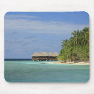 Bandos Island Resort, North Male Atoll, The Mousepad