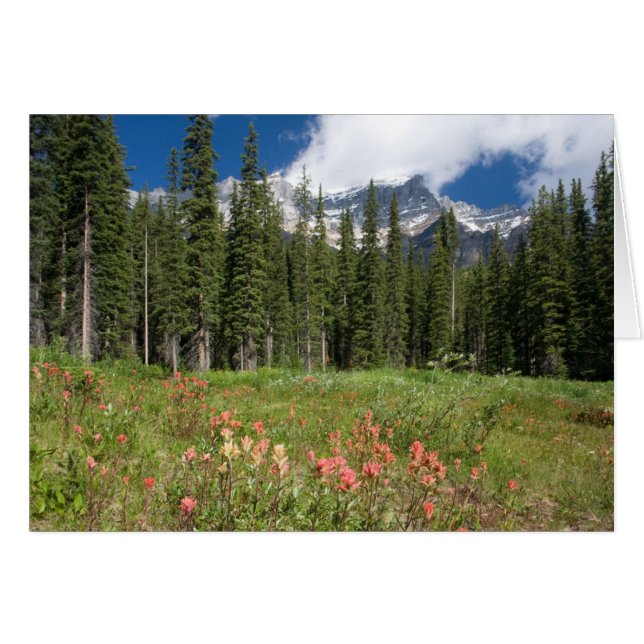 Banff Blume Kanada (Vorderseite (Horizontal))