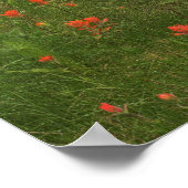 Banff National Park Poster (Ecke)