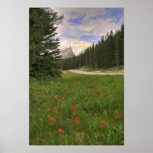 Banff National Park Poster (Vorne)