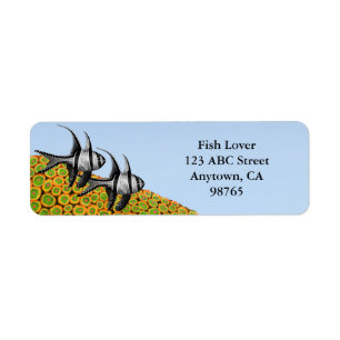 Banggai Cardinalfish u. Zoanthid