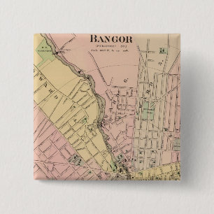 Bangor, Brauer, Maine Button