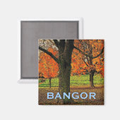 Bangor Magnet (Vorderseite/Rückseite)