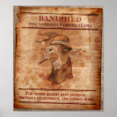 Banish Drama Llamas - 12" x 14" Poster (Vorne)