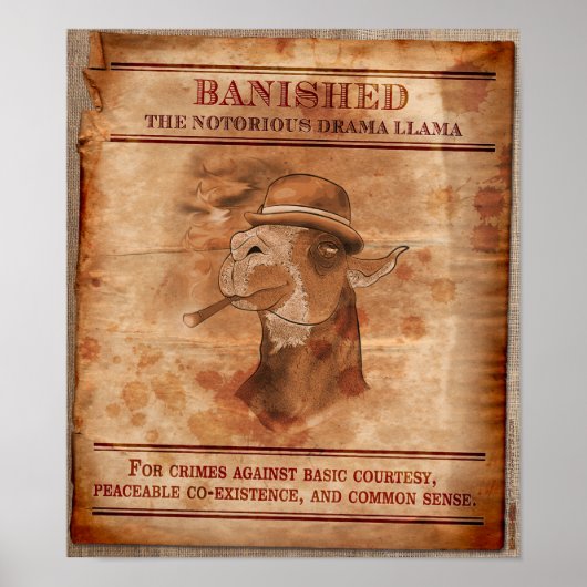 Banish Drama Llamas - 12" x 14" Poster (Vorne)