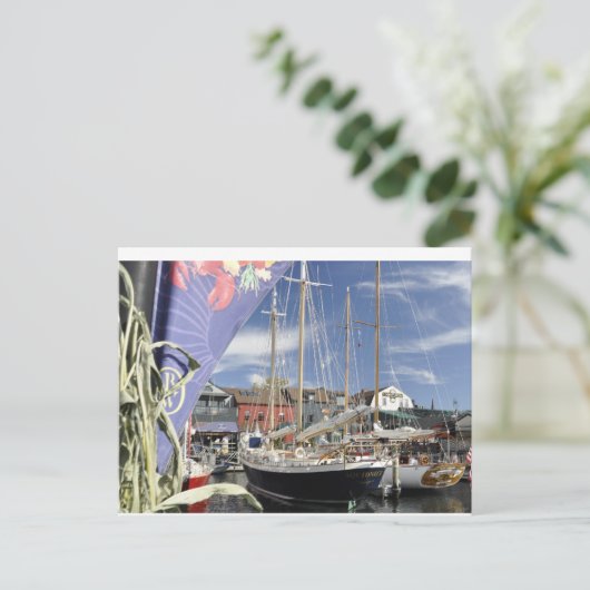 Banistenpfeife Postkarte (Stehend Vorderseite)