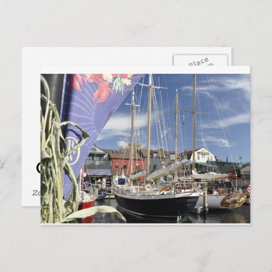 Banistenpfeife Postkarte (Vorne/Hinten)