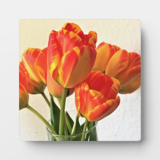 Banja Luka Tulips Fotoplatte (Vorderseite)