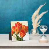 Banja Luka Tulips Fotoplatte (InSitu)