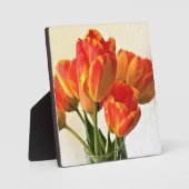 Banja Luka Tulips Fotoplatte (Vorderseite)