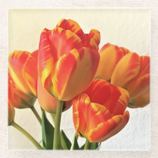 Banja Luka Tulips Glasuntersetzer (Vorderseite)
