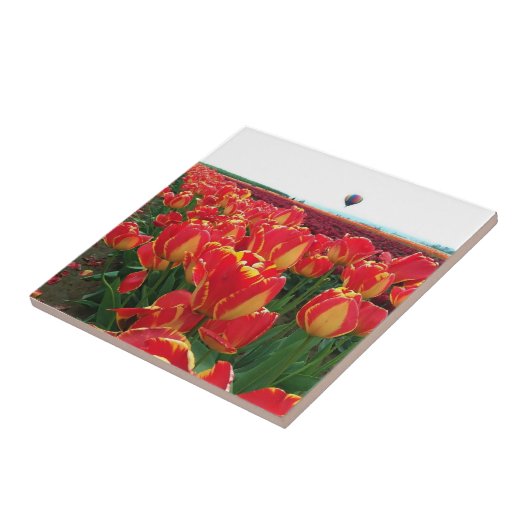 Banja Luka Tulips in einem Feld mit Heißluftballon Fliese (Seite)