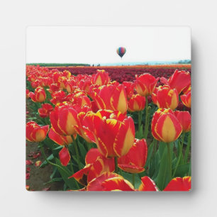 Banja Luka Tulips in einem Feld mit Heißluftballon Fotoplatte