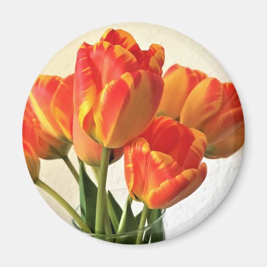 Banja Luka Tulips Magnet (Vorne)