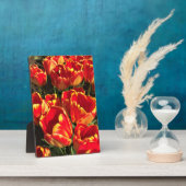 Banja Luka Tulips, Oregon Fotoplatte (Seite)