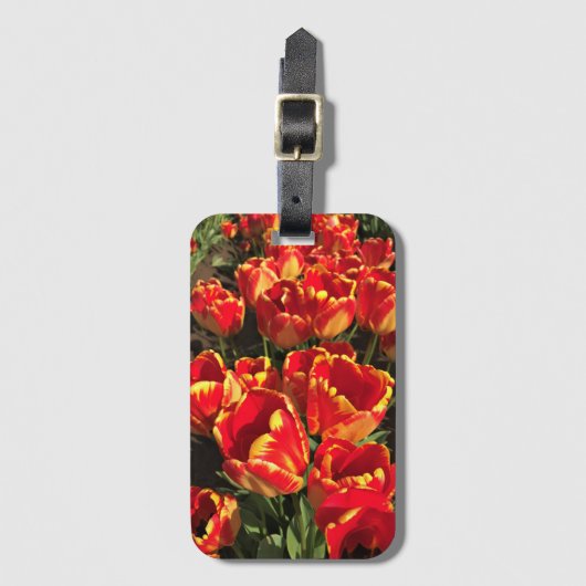 Banja Luka Tulips, Oregon Gepäckanhänger (Vorderseite Vertikal)
