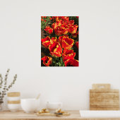 Banja Luka Tulips, Oregon Poster (Küche)