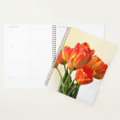 Banja Luka Tulips Planer (Anzeige)