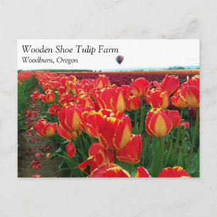 Banja Luka Tulpen auf einem Feld mit Heißluftballo Postkarte