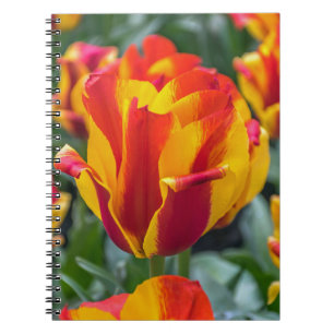 Banja Luka-Tulpenotizbuch Notizblock