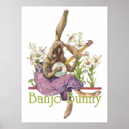 Banjo Bunny Poster (Vorne)
