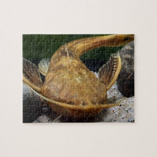 Banjo Catfish Jigsaw Puzzle