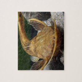 Banjo Catfish Jigsaw Puzzle